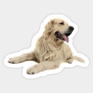 Golden Retriever Sticker